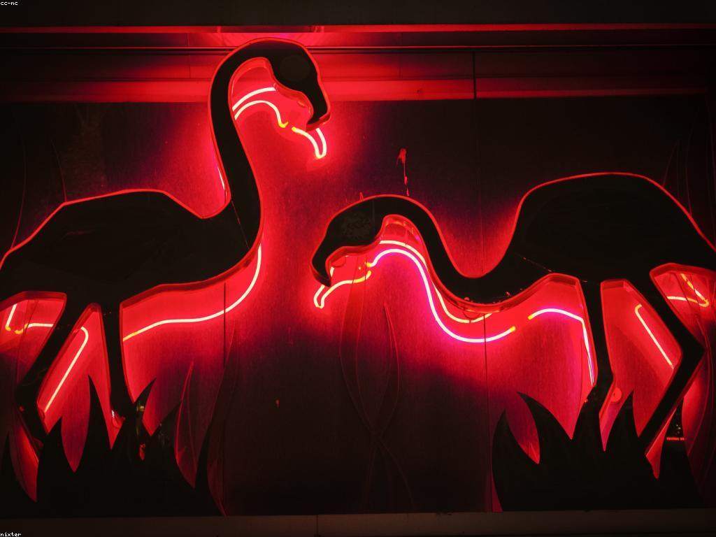 និន្នាការនិងអនាគតនៃកាស៊ីណូពេញនិយម