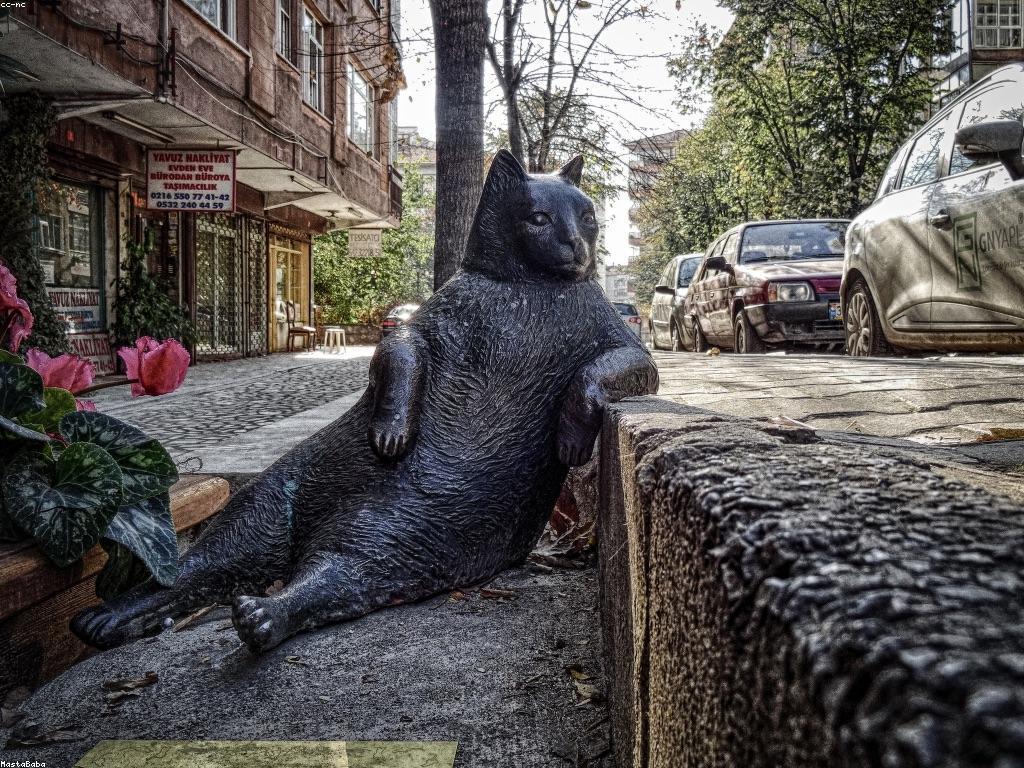 ឱកាសនិងអត្ថប្រយោជន៍នៃការយល់ដឹងអំពីសុខភាពផ្លូវចិត្ត